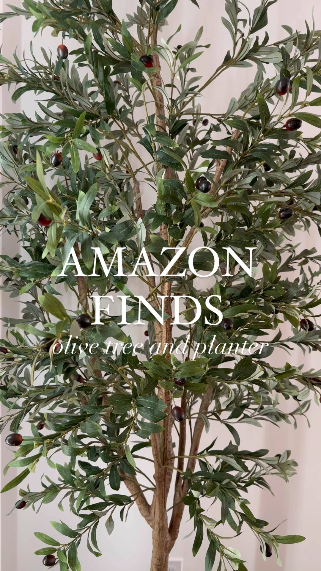Amazon finds - faux olive tree and planter 🌿💚



Amazon, Amazon home finds, home decor, decorating, decorating ideas, faux plants, sale, target, target finds, home, interior decor#LTKSummerSales 

#LTKHome #LTKSeasonal