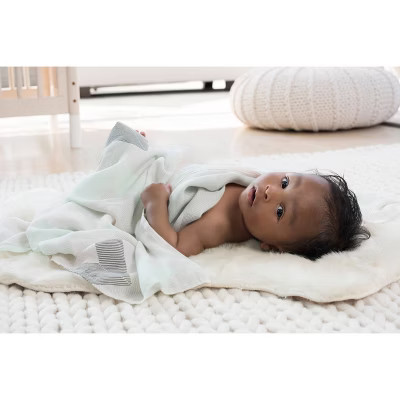 aden by aden + anais Silky Soft Swaddles - 2pk | Target