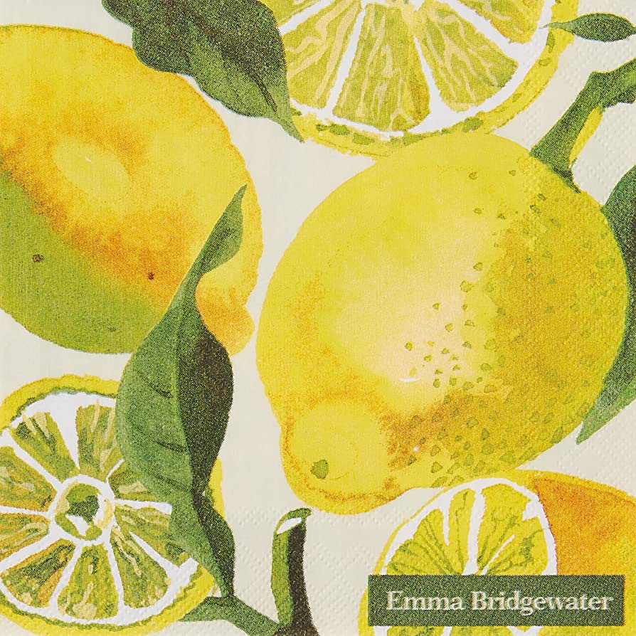 Boston International IHR 3-Ply 20-Count Cocktail Beverage Paper Napkins, 5 x 5-Inches, Lemons | Amazon (US)