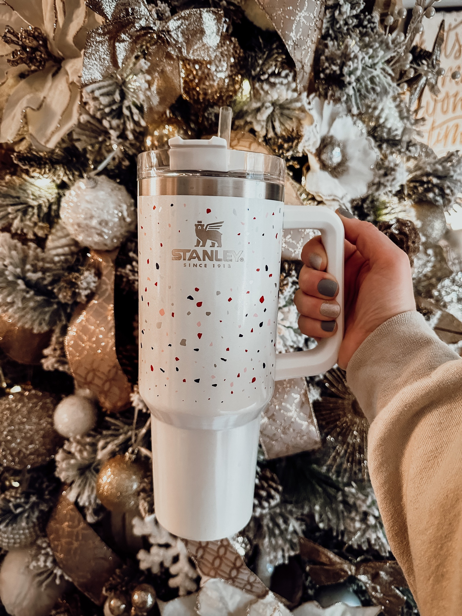 Stanley confetti mug! 40oz 

#LTKfit #LTKGiftGuide #LTKHoliday