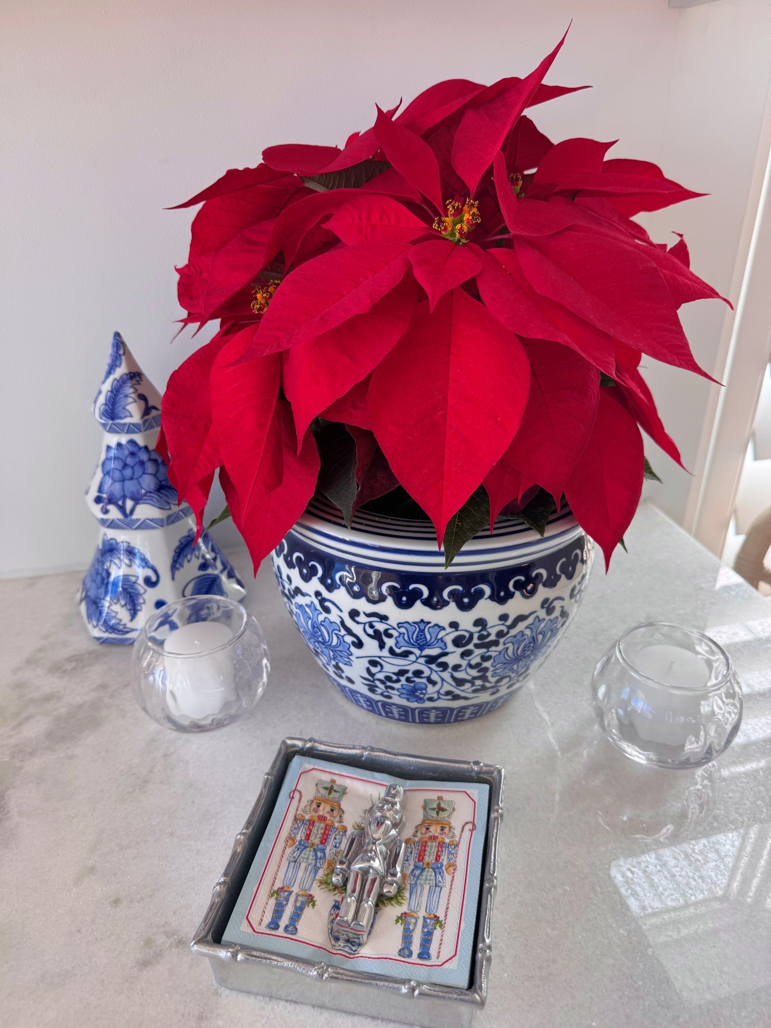 Timeless Chinoiserie with a beautiful poinsettia 

#LTKSeasonal #LTKHoliday #LTKHome