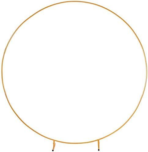 LANGXUN Φ7.2ft Gold Balloon Arch kit, Circle Metal Party Decoration, for Birthday Party Decorati... | Amazon (US)