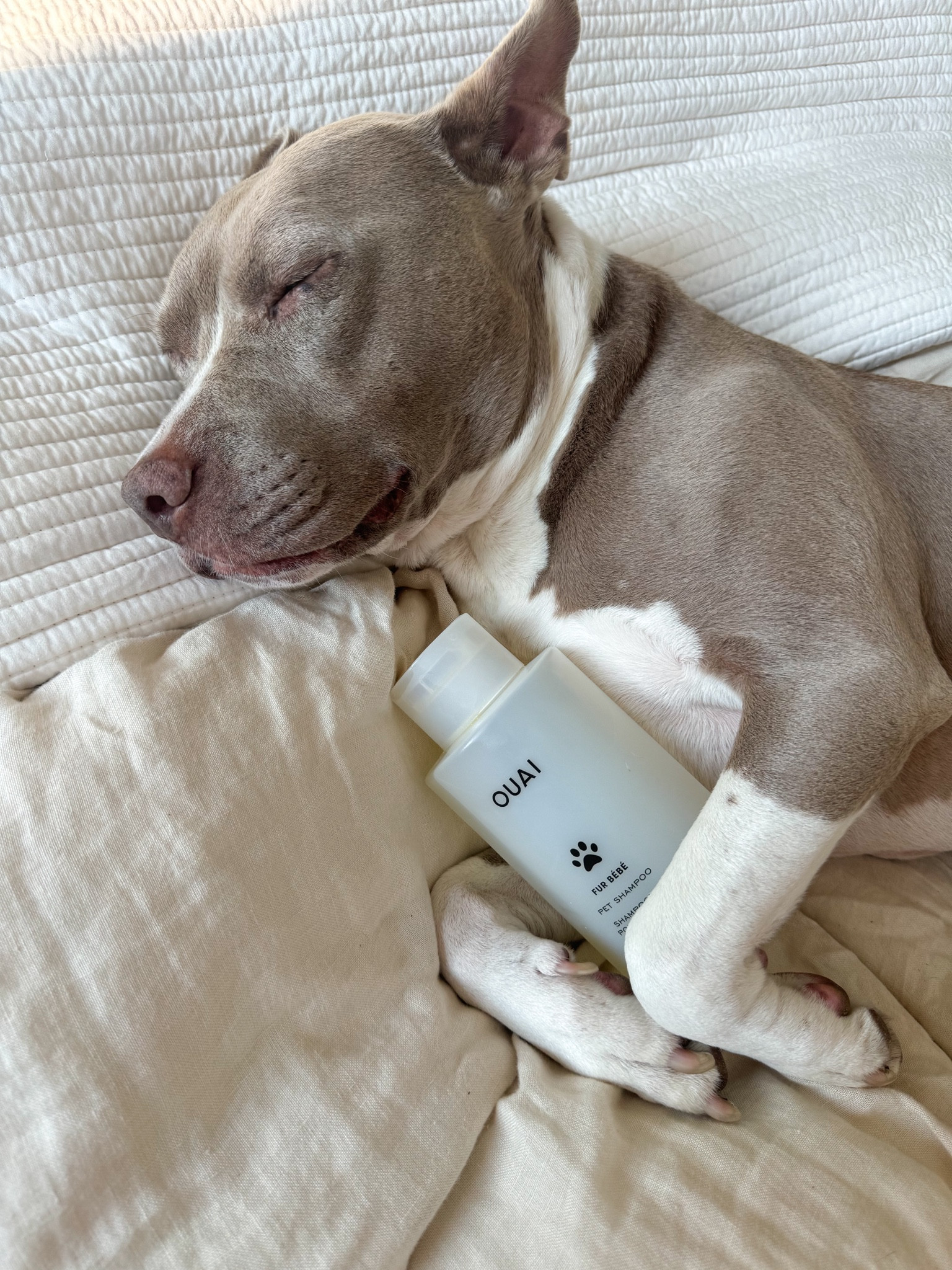 Your dogs favorite scent 🐾

#LTKFamily #LTKBeauty #LTKHome