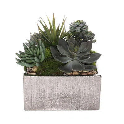 11'' Faux Succulent in Square Etched Pot | Wayfair Professional