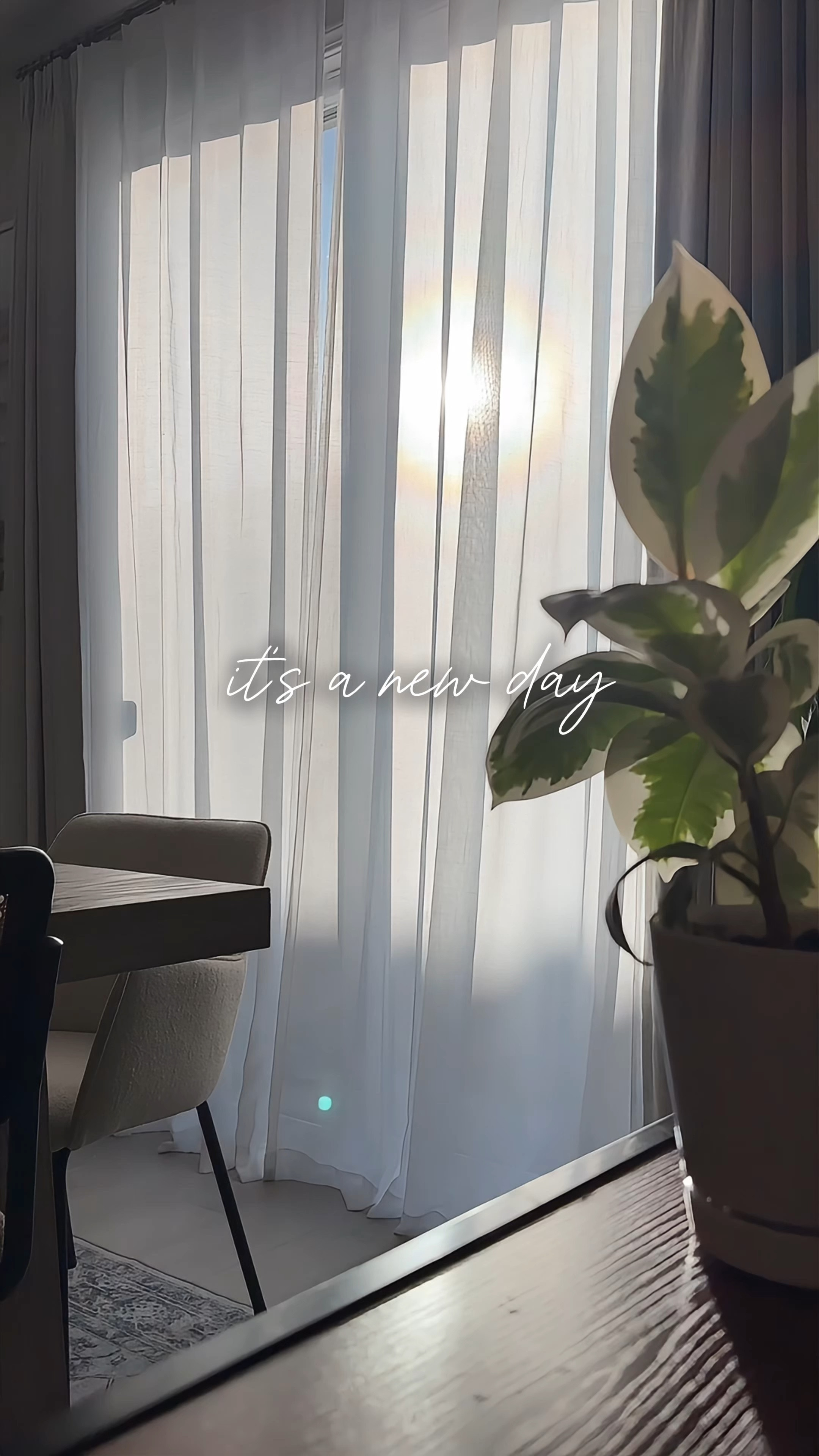 The way these sheer drapes filter out the morning light tho 😍

#LTKHome