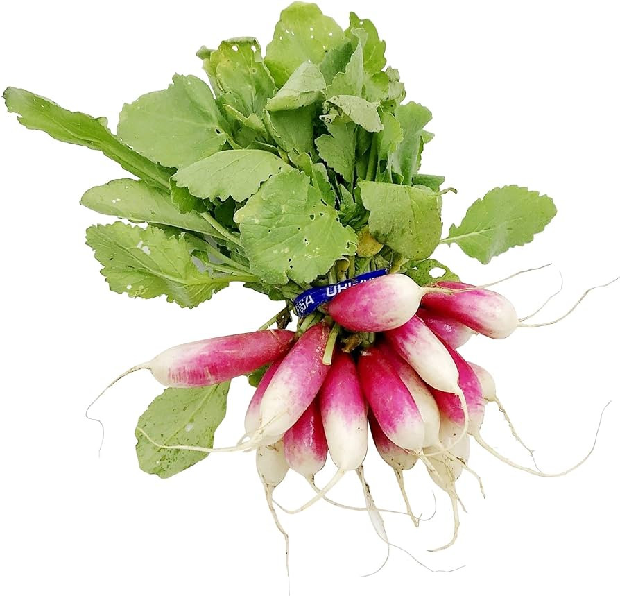 PRODUCE Organic French Radish | Amazon (US)