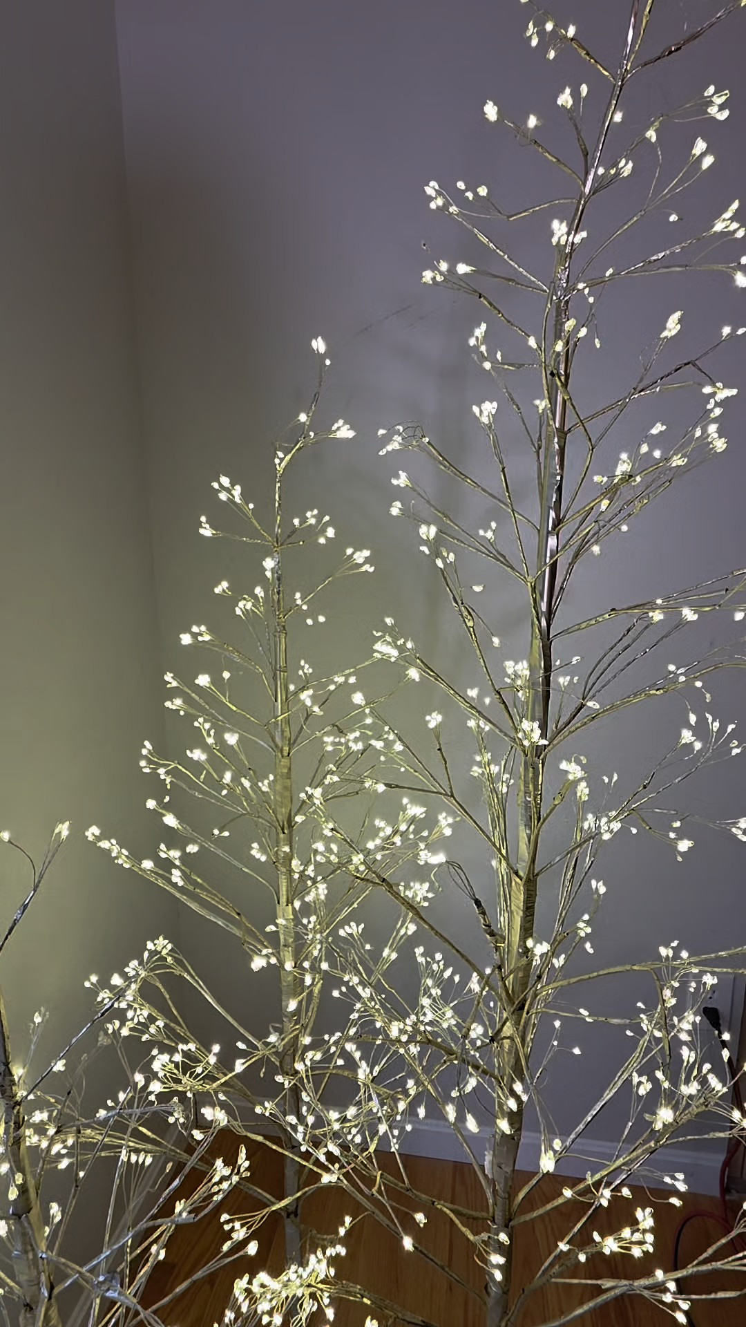 Twinkle holiday christmas trees of my dreams purchased all 3 sizes 

#LTKHoliday #LTKHome #LTKFindsUnder100