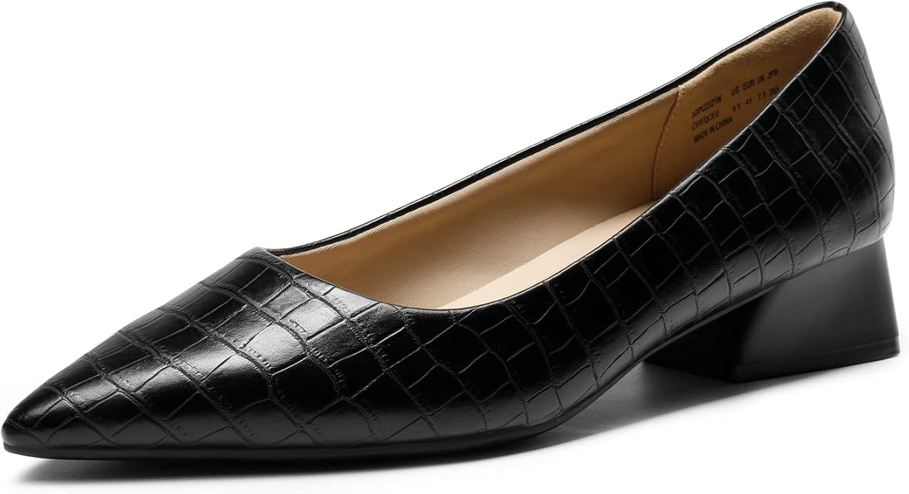 DREAM PAIRS Women's Chunky Heels Closed Toe Low Block Work Shoes Pointed Toe Dress Comfortable We... | Amazon (US)