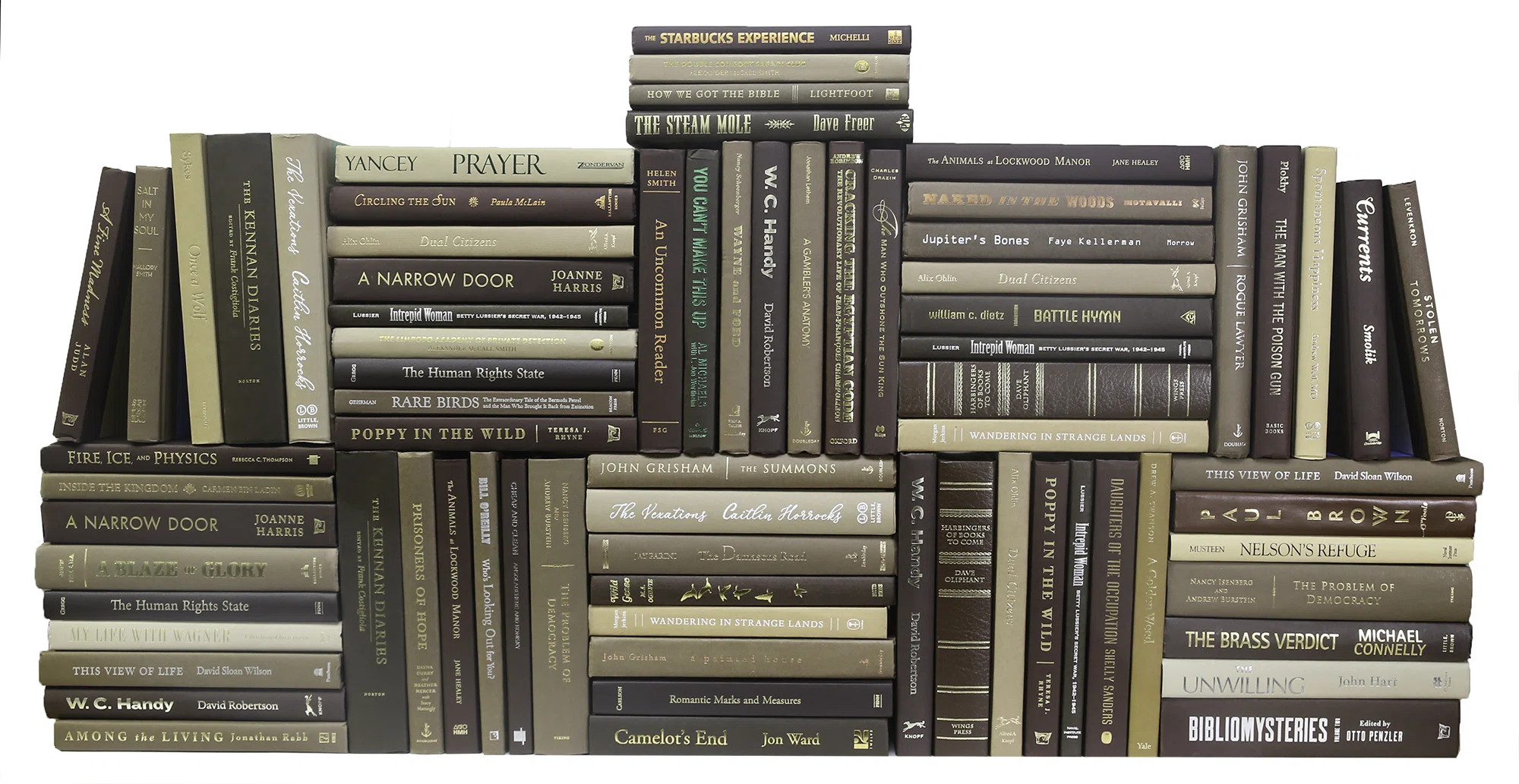 Modern Chocolate Book Wall | Wayfair North America