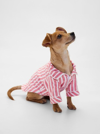 Flannel Pet PJs | Gap (US)