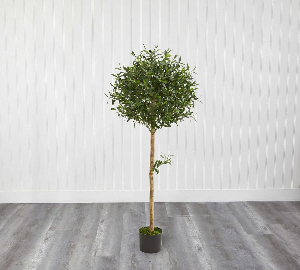 Faux Olive Topiary Tree in Sand Planter | Pottery Barn (US)