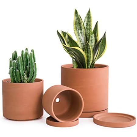 Set of 4 Terracotta Shallow Planter Pots for Succulent, 3 Inch 4 Inch 5 Inch 6 Inch, Small Flower Pl | Amazon (US)