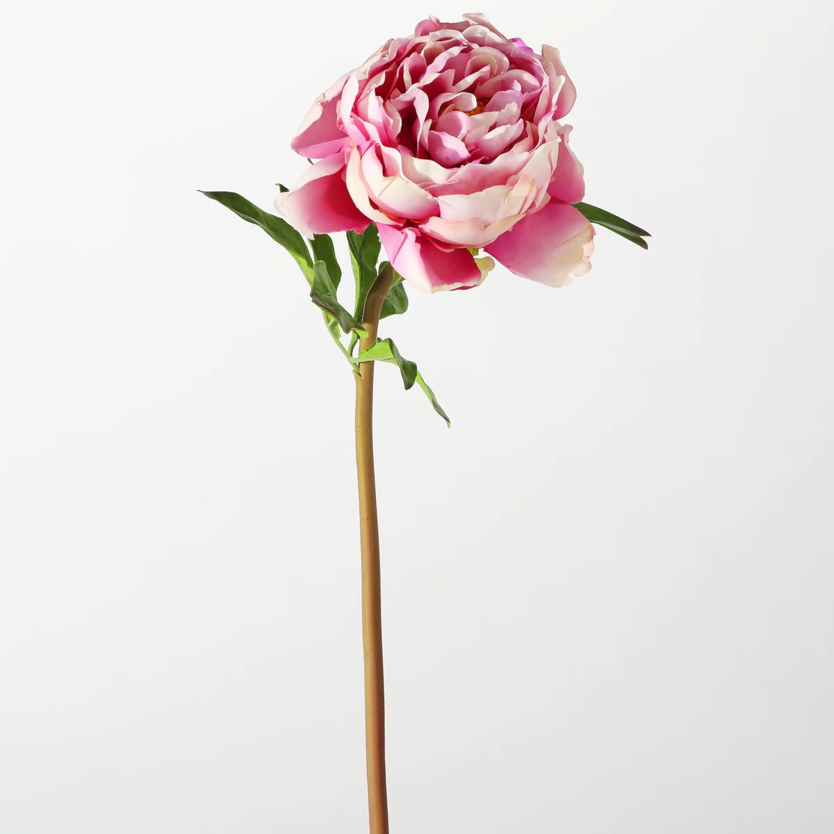The Perfect Peony Real Touch Forever Flower 22" Stem - Pink Cerise | Darby Creek Trading
