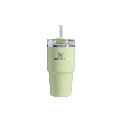 Stanley 20 oz Stainless Steel H2.0 Flowstate Quencher Tumbler | eBay US