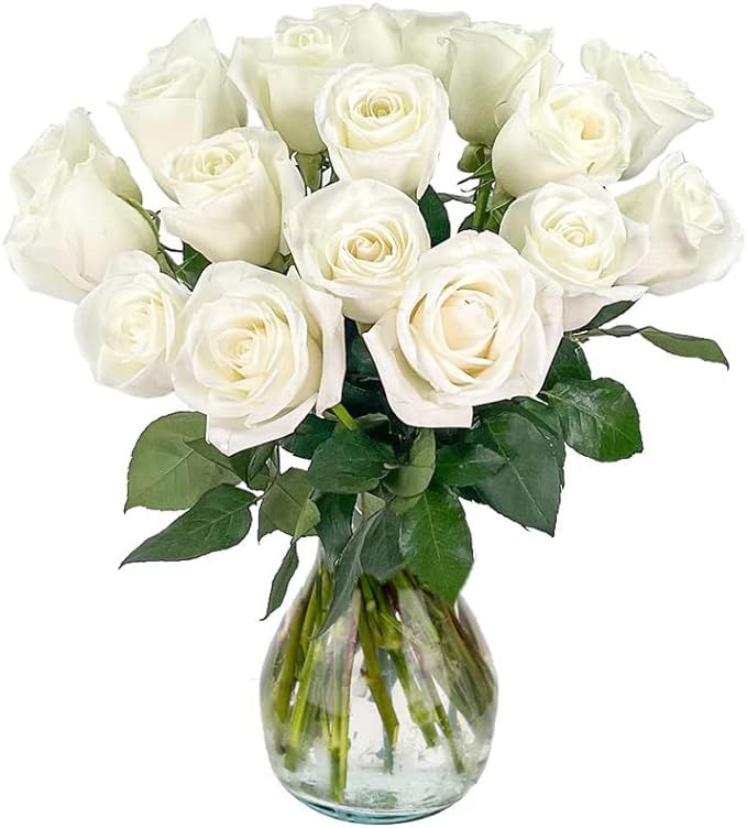 Delivery by Friday, February 24th, Arabella Bouquets Fresh Cut 18 Roses with Vase Flowers, White | Amazon (US)