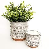 Terra-cotta Plant & Candle Duo - Handmade Natural Soy candle paired with matching planter pot and fa | Amazon (US)