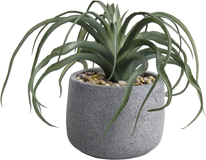 MyGift Small Indoor Artificial Green Aloe Vera Succulent Plant in Decorative Speckled Gray Concre... | Amazon (US)