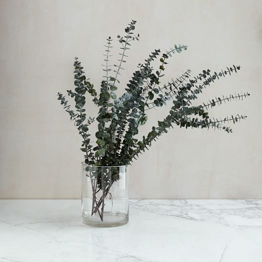 Eucalyptus Bundle, Baby | West Elm (US)