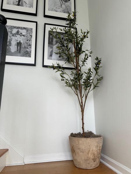 Faux olive tree 

#LTKhome