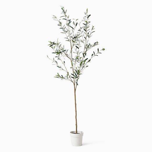Faux Potted Black Olive Tree | West Elm (US)