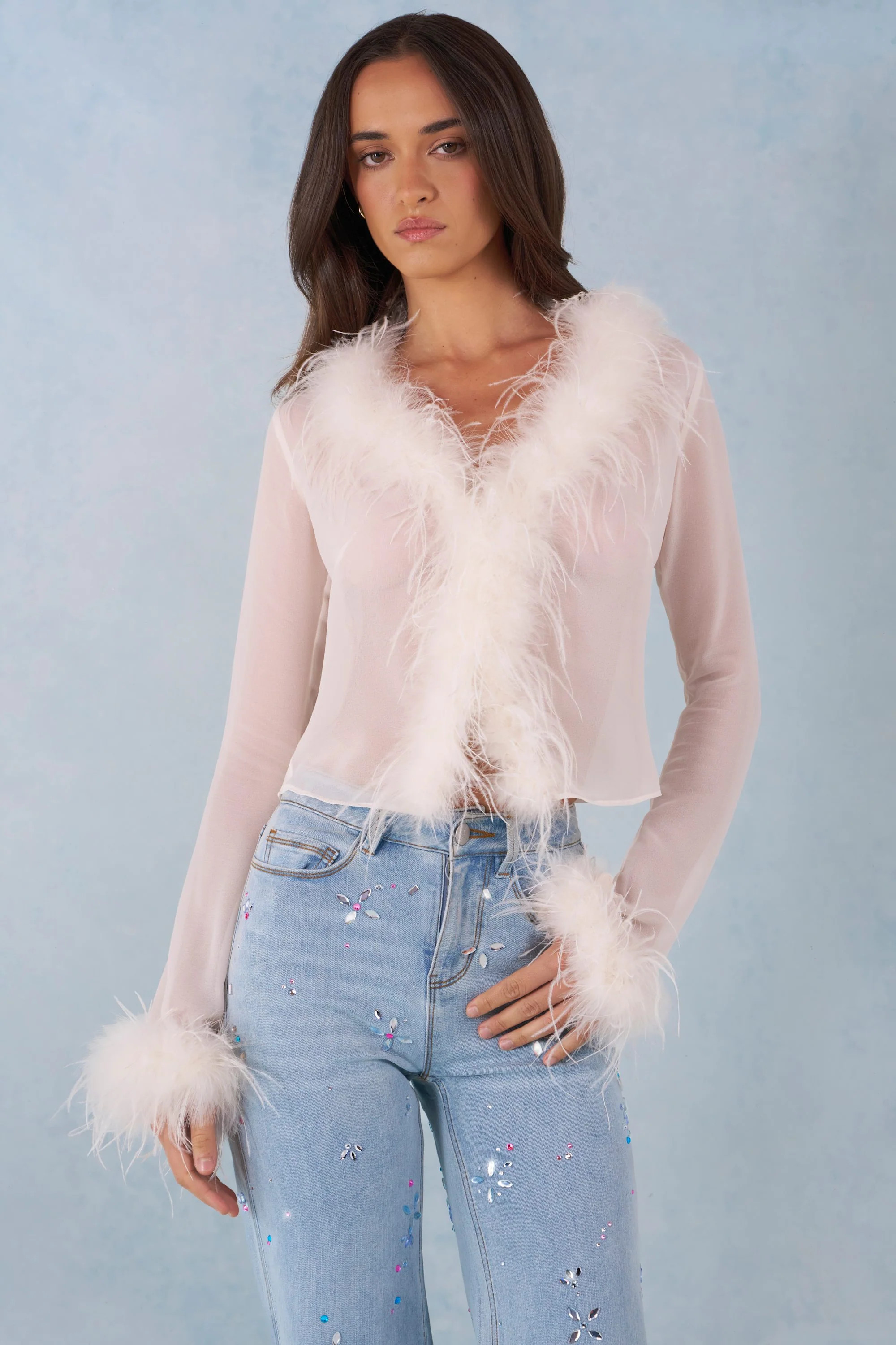 Feather Trim Sheer Top in Ivory | Oh Polly