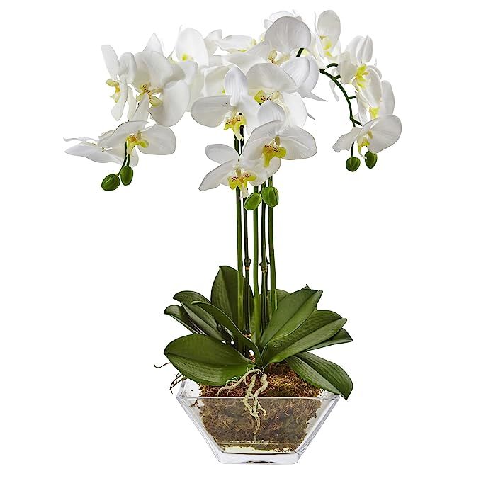 Nearly Natural 4570 Triple Phalaenopsis Orchid in Glass Vase | Amazon (US)
