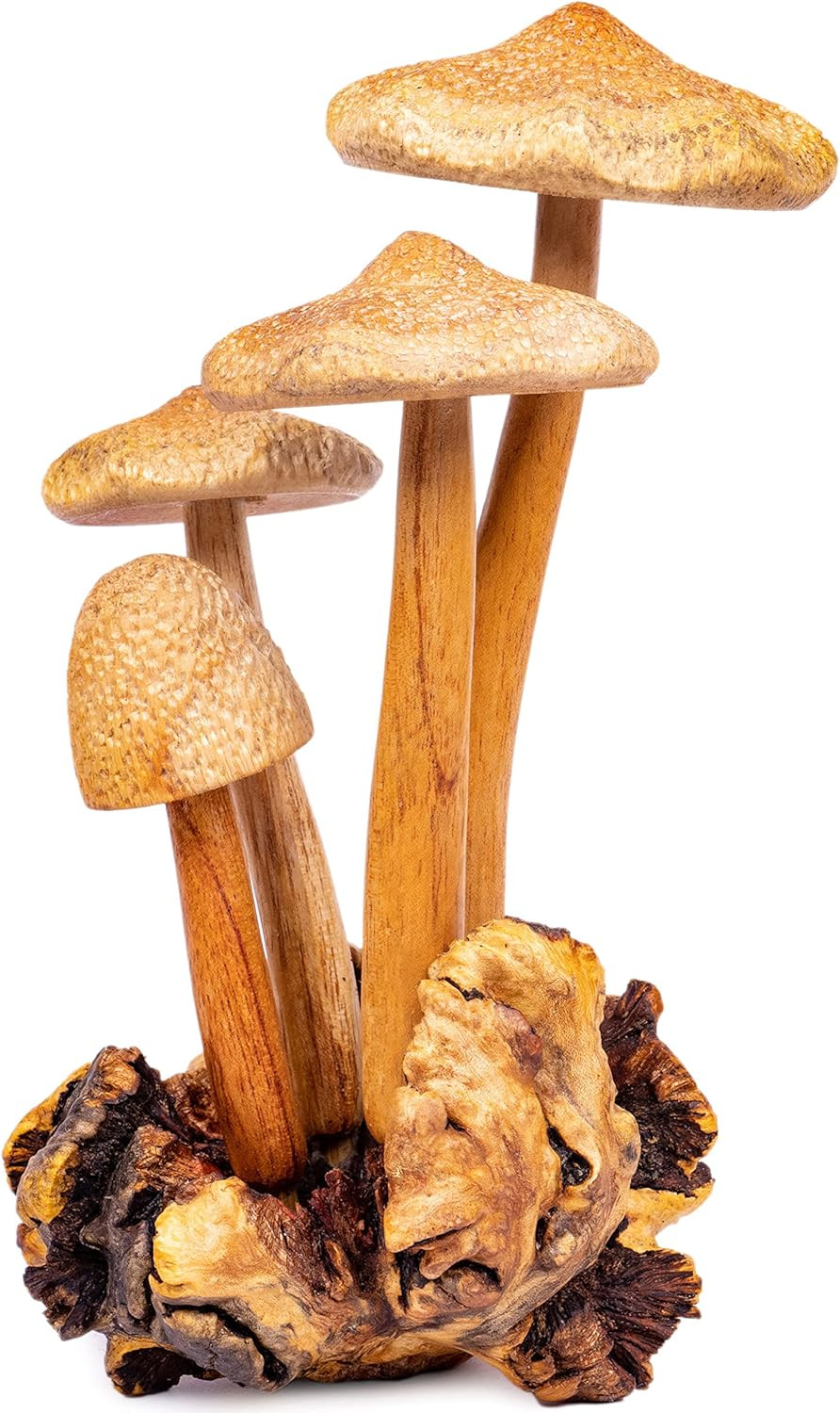 Curawood Wooden Mushrooms Sculpture for an Ornate Touch - Handcrafted 9" Mushroom Statue with Int... | Amazon (US)