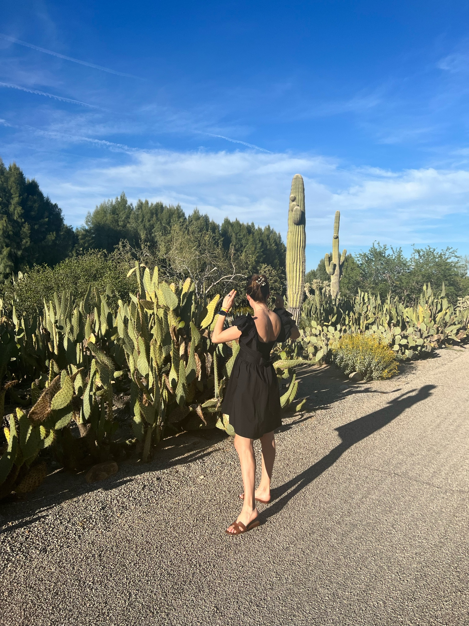 Survived spring break without a tequila hangover or a dodgy sunburn. 



#LTKunder100 #LTKFestival #LTKtravel