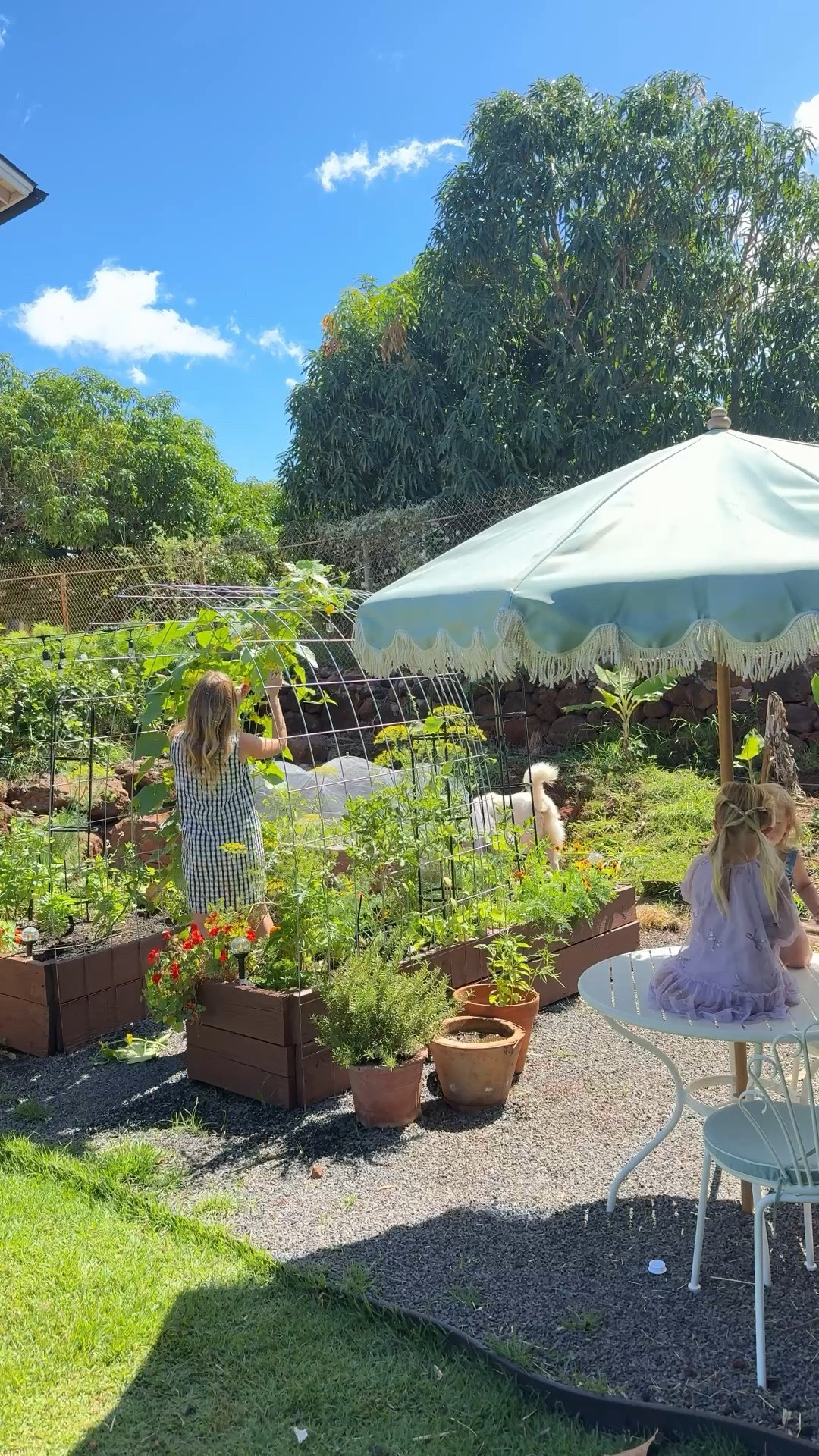 Garden set up

#LTKHome #LTKSeasonal