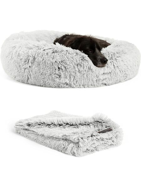 Dog bed and blanket set

#LTKGiftGuide #LTKxPrime #LTKhome