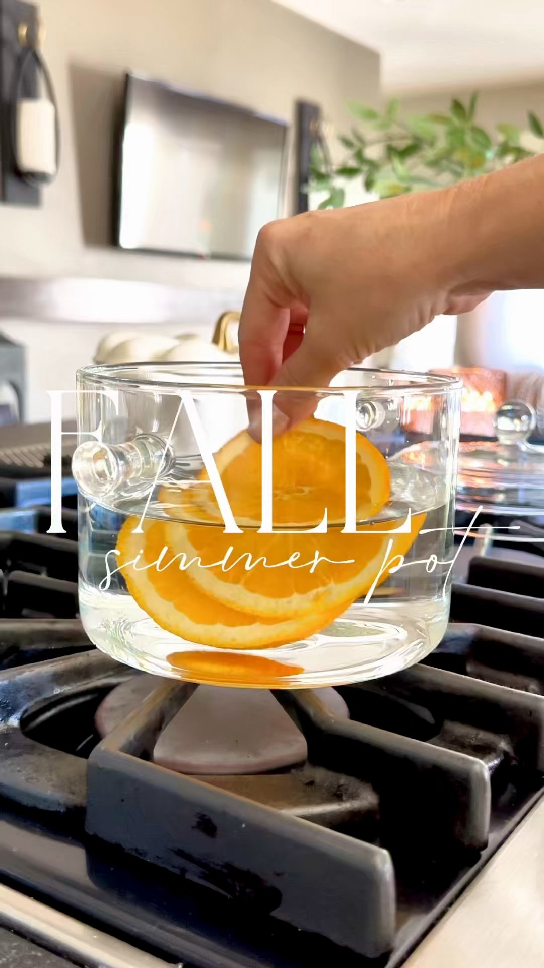 Nothing says cozy season like a fall simmer pot! I’m loving this glass one from Amazon🍂

#fallhome #kitchenfinds

#LTKVideo #LTKHome #LTKSeasonal