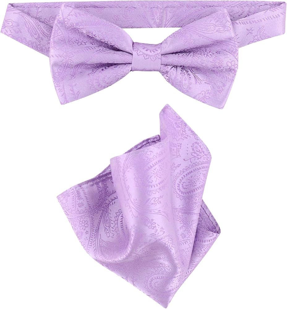 Vesuvio Napoli BowTie Lavender Purple Color Paisley Mens Bow Tie & Handkerchief | Amazon (US)