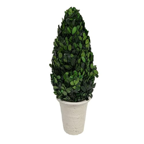 Creative Co-Op Boxwood Topiary in Clay Pot | Amazon (US)