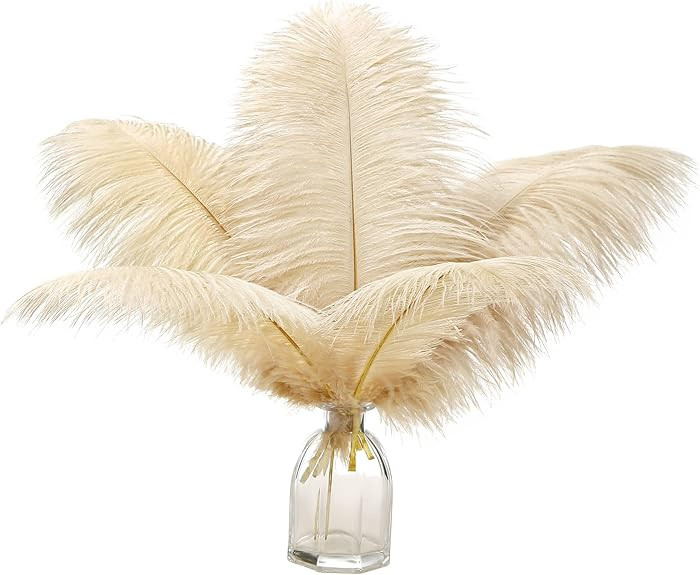 Ballinger Champagne Ostrich Feathers Bulk - 12Pcs 12-14inch Large Boho Feathers for Vase，Weddin... | Amazon (US)