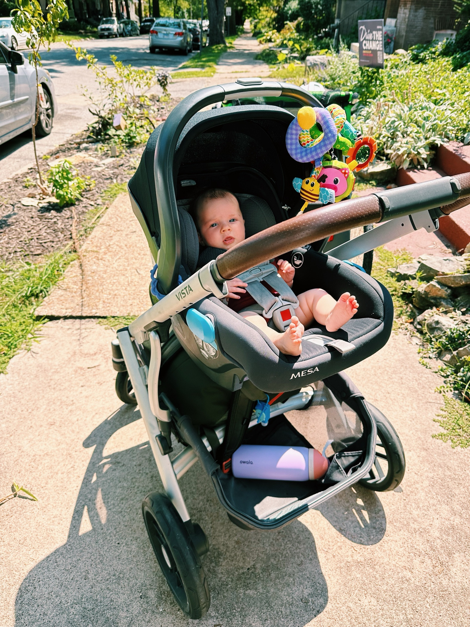 my favorite stroller!!

#LTKTravel #LTKBaby