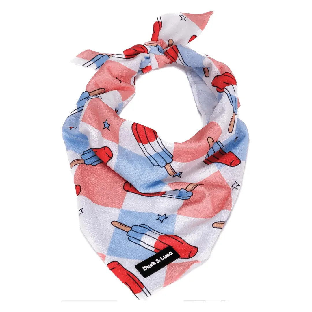 Fourth of July Dog Bandana: Patriotic Popsicle Print, Soft Tie On - Etsy | Etsy (Global)