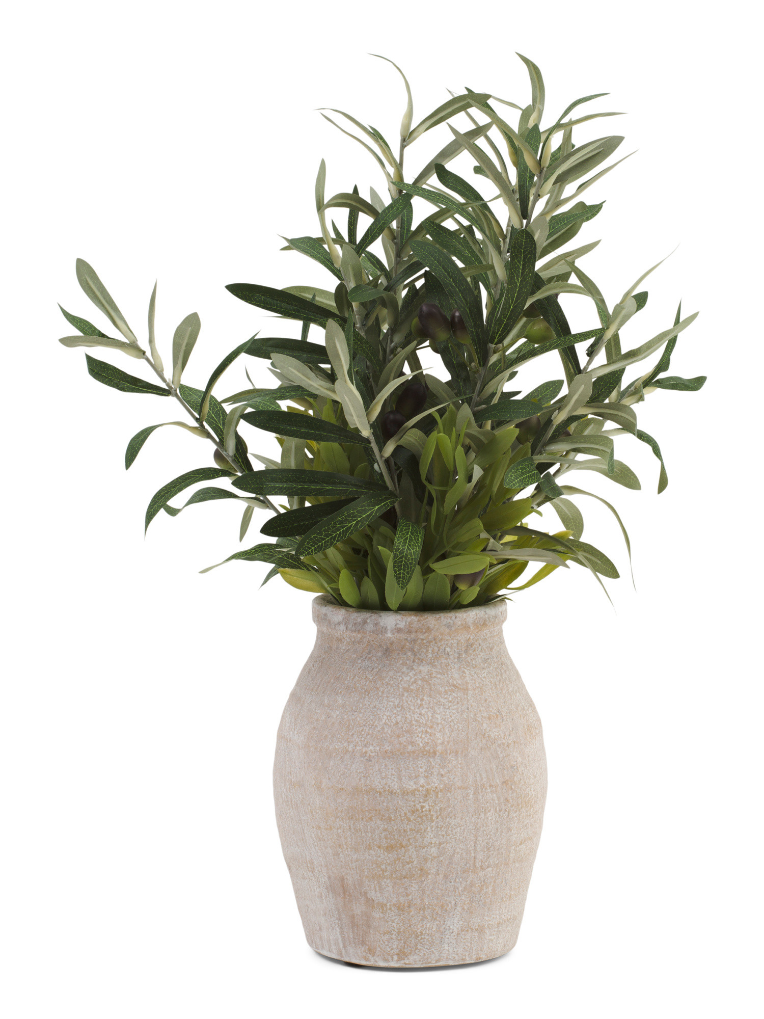 21in Olive Branches In Pot | Marshalls