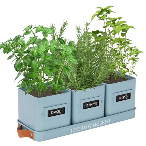 PERFNIQUE Indoor Herb Garden, Herb Garden Planter Set with Tray, Farmhouse Indoor Plant Pots, Windowsill Herb Garden with Drainage(Planter only) for Indoor/Outdoor, Window Pots(Sky Blue) | Amazon (US)