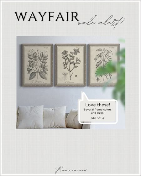 Gorgeous neutral botanical prints on sale! Set of 3  

Home decor 

#LTKSeasonal #LTKhome #LTKsalealert