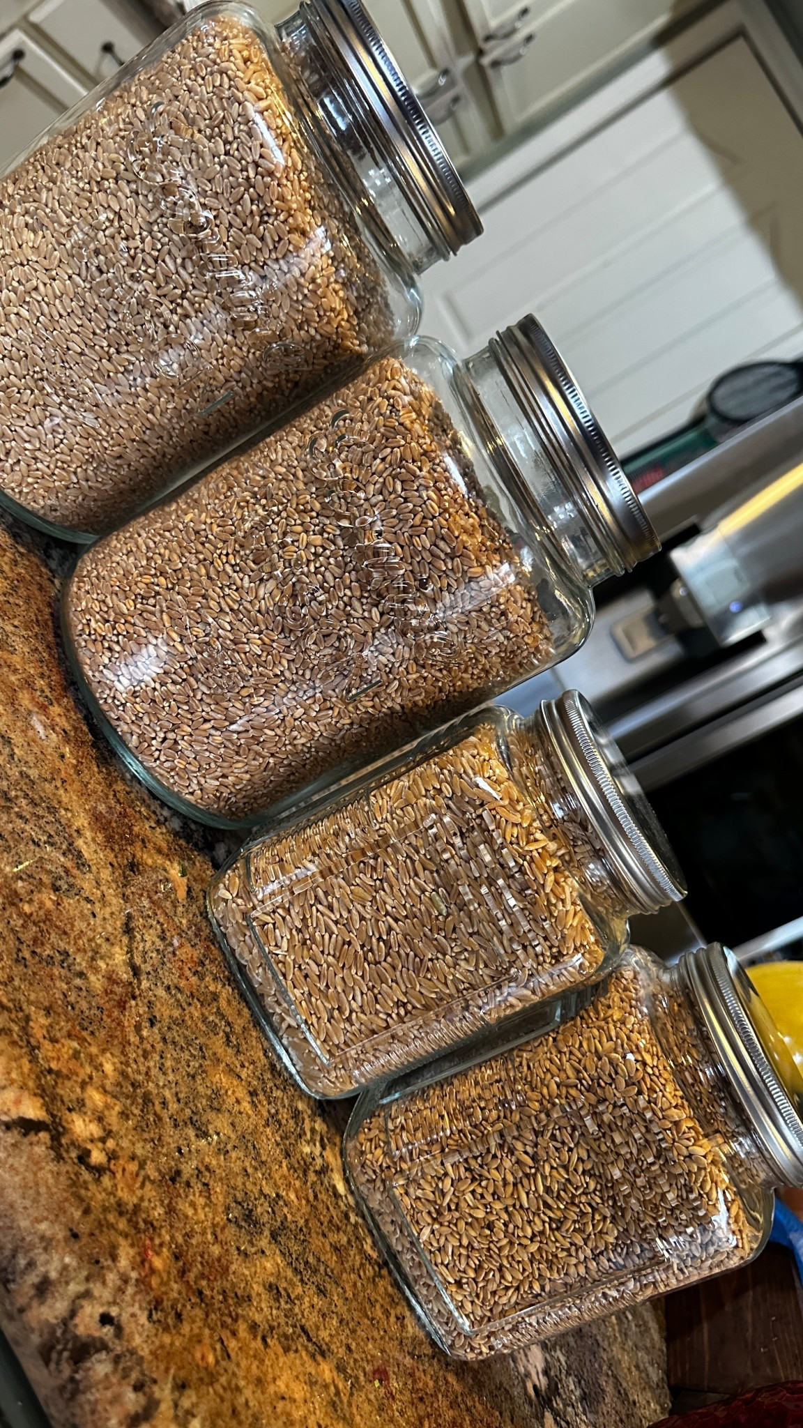 All my grains together, veggie they so get made into flour for breads, cookies, cakes, muffins and whatever else I can dream up fo my family and I. From left to right I use hard white, hard red, kamut and einkorn. Spelt isn’t pictured but I love it just as much ♥️ Storing grains in airtight glass containers is way better than keying them sit in plastic bags or open air. Linking the large mason jars I use. ❤️

#LTKmorningroutine #LTKfoodie #LTKOver40