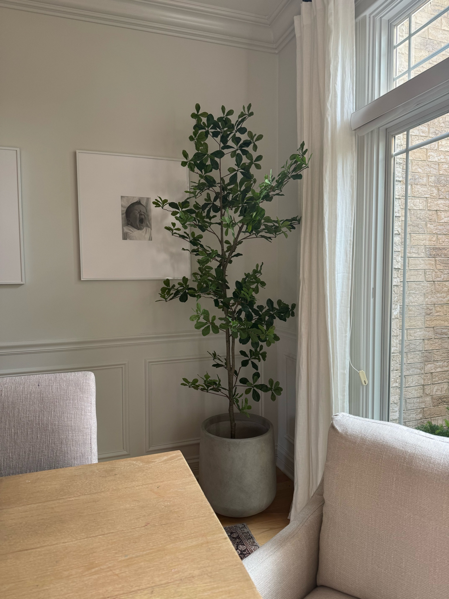 Love this look for less faux tree and my favorite planter! The tree is Amazon’s version of black olive tree. My frames are custom frames size. 



#LTKHome #LTKSeasonal #LTKSaleAlert