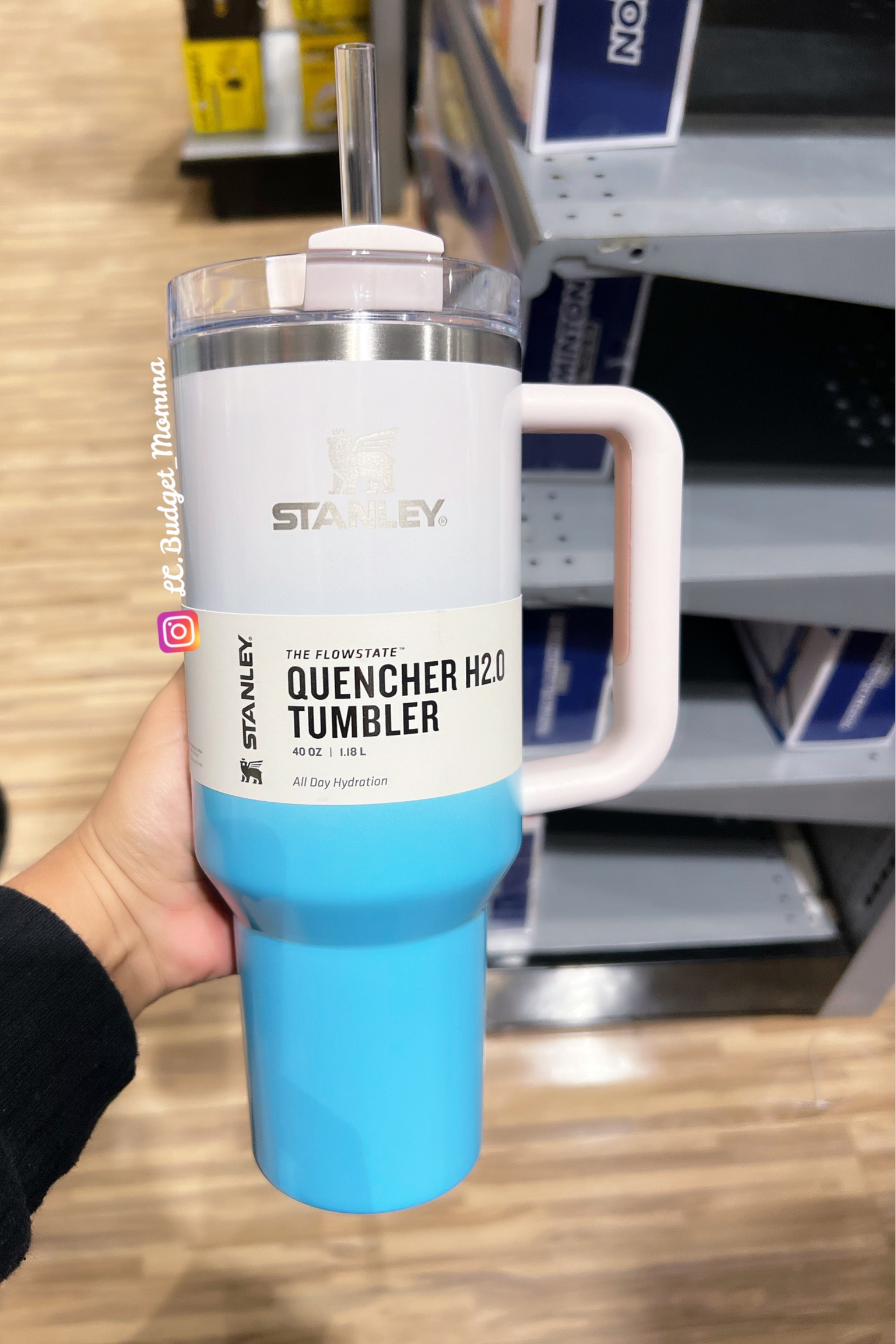 Stanley Tumbler 30 and 40oz Quencher H2.0 Camelia Gradient Ombre