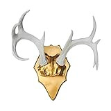 Near and Deer Faux Deer Antler Rack Wall Mount, White/Gold | Amazon (US)
