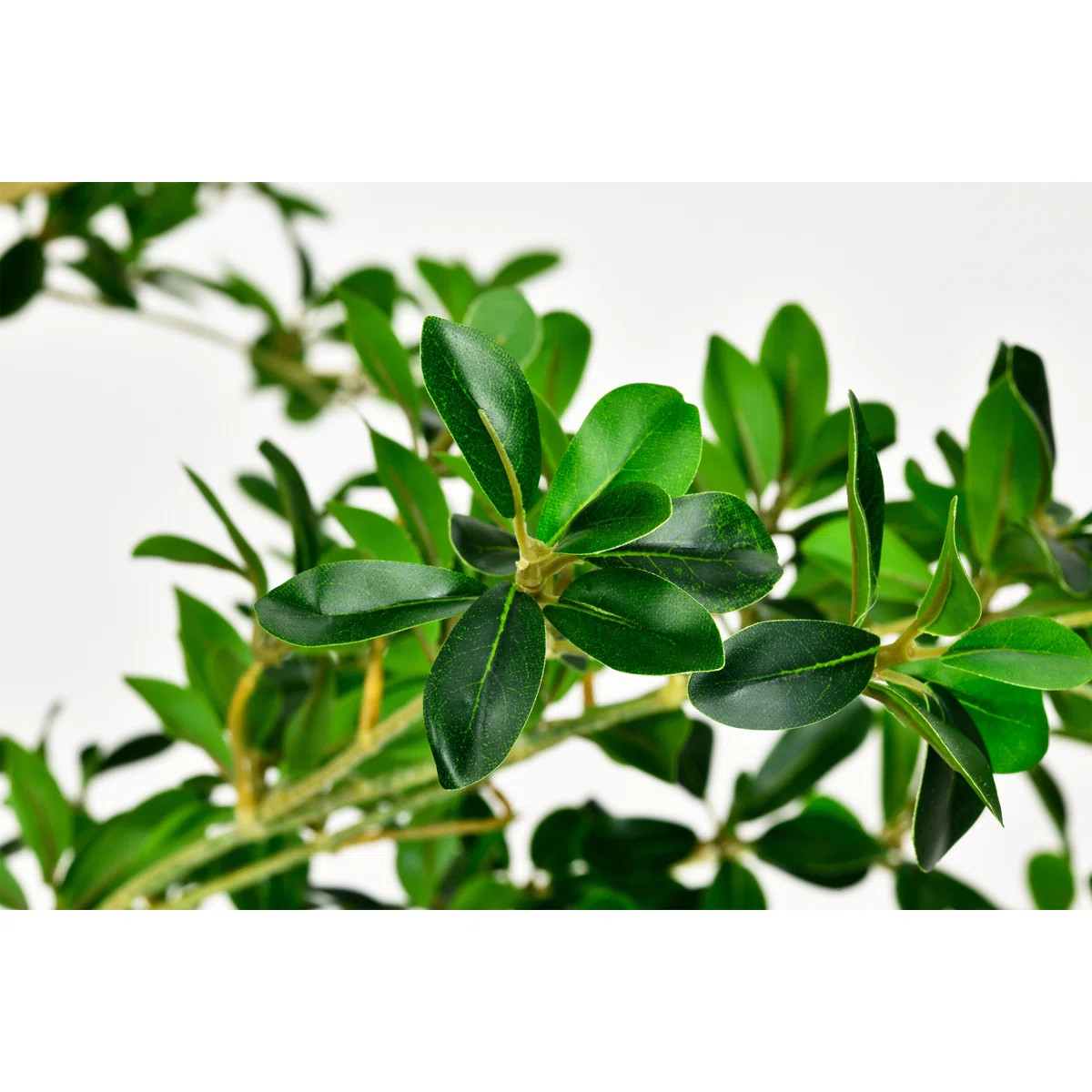 6.5 ft. Artificial Black Olive Shady Lady Tree in White Decor Pot | Wayfair North America