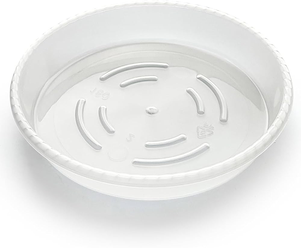 8 Inch Plant Saucer 5 Pack, Clear Plastic Plant Trays for Pots, Thickened Flower Pot Saucers for ... | Amazon (US)