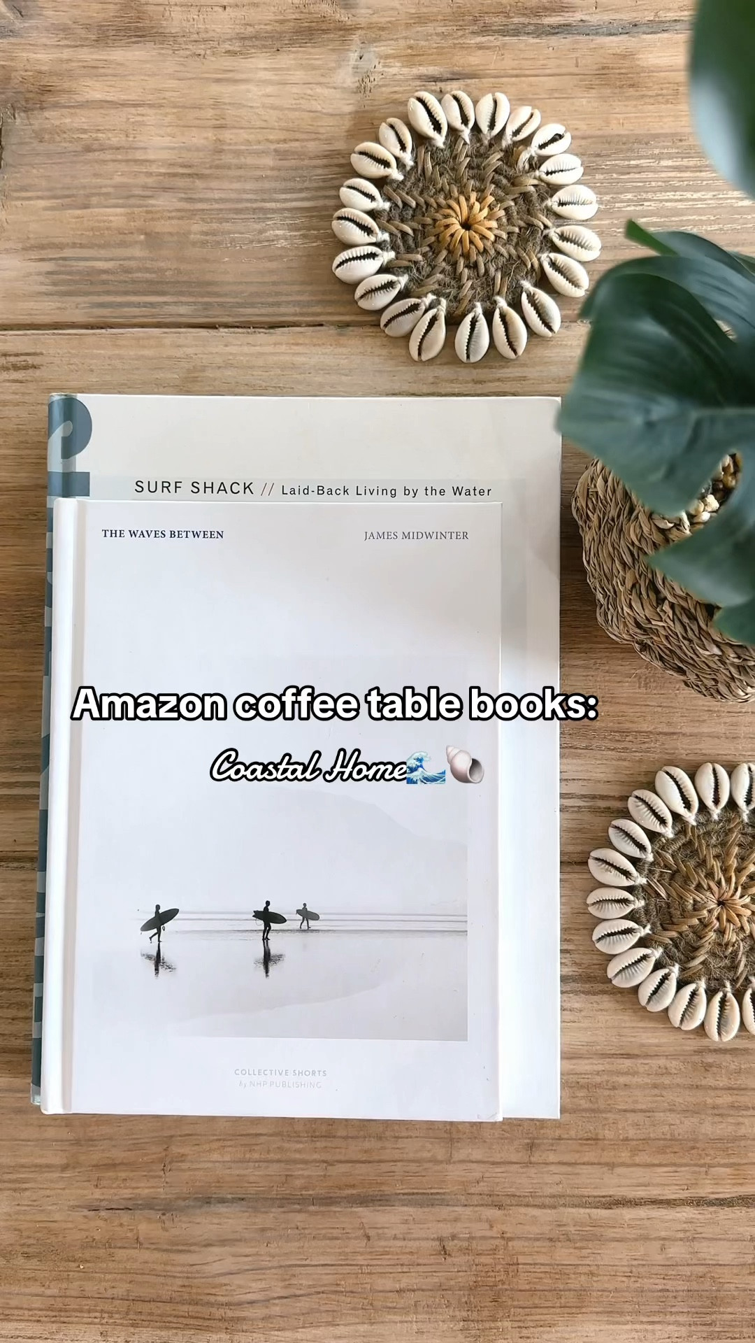 Amazon Coastal Coffee Table Book Finds🐚