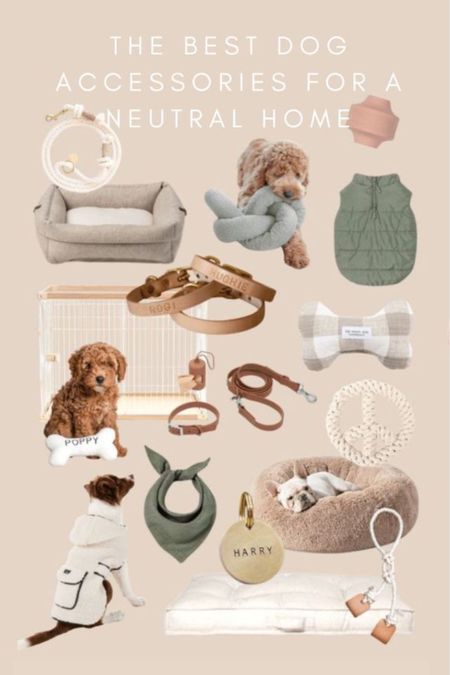 The best dog accessories for a neutral home. Neutral dog toys, crates, leashes, dog beds, collars. 

#LTKhome
