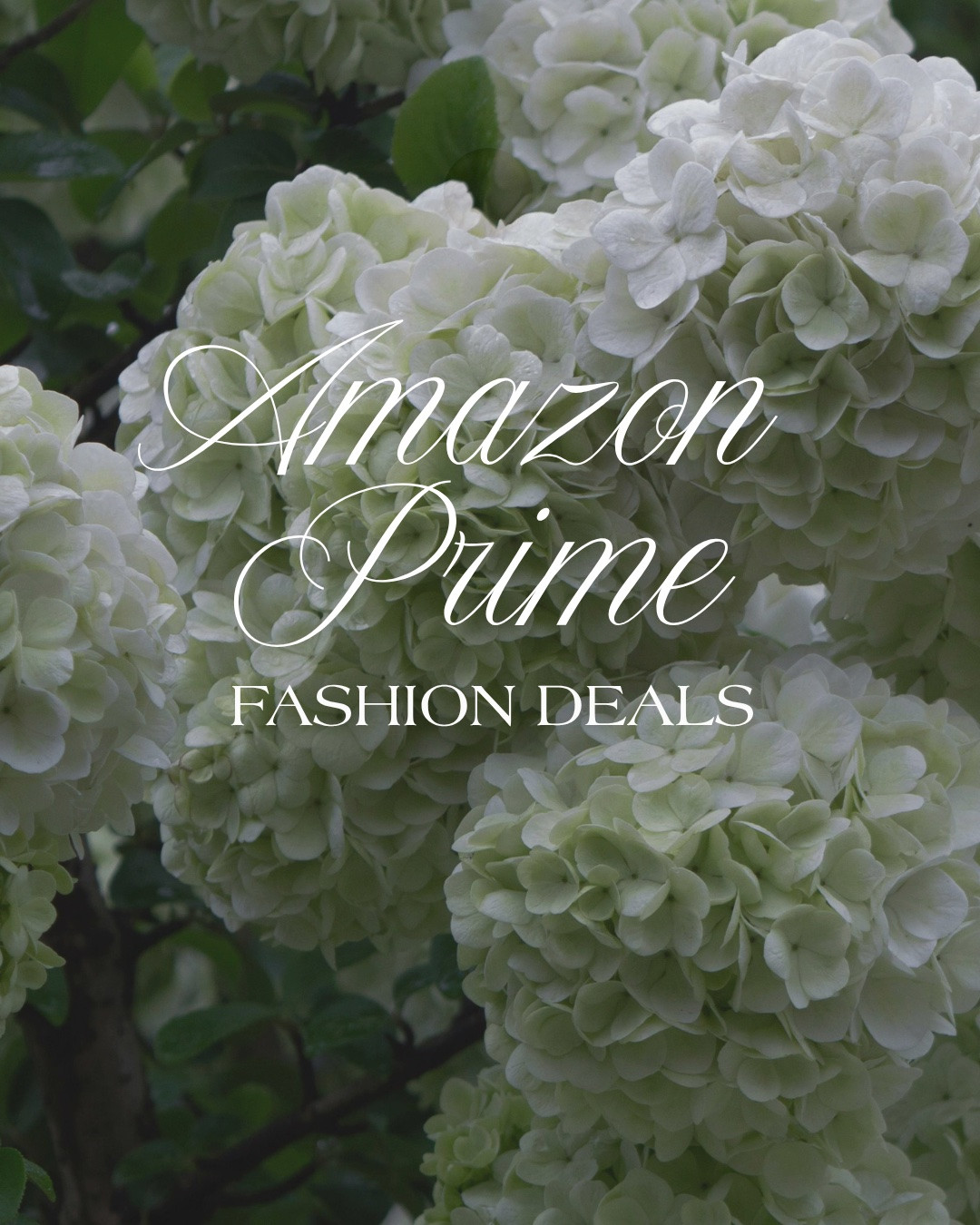Amazon Prime Day Fashion Deals / Sets & Dresses I’m loving for summer🫧🌴🌸🍋‍🟩

#LTKootd #LTKTravel