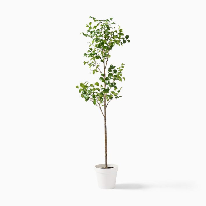 Faux Potted Snowball Tree | West Elm (US)