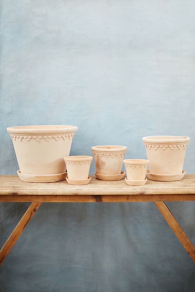 Bergs Palace Pot | Anthropologie (US)
